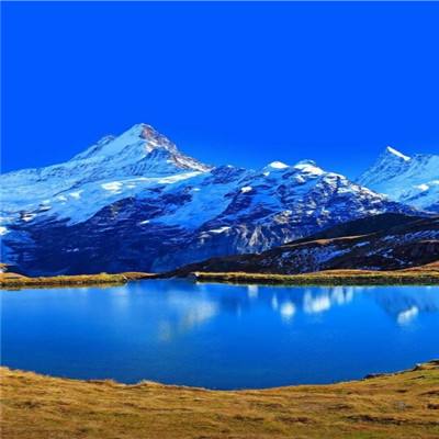 金沙乐娱app下载官网版