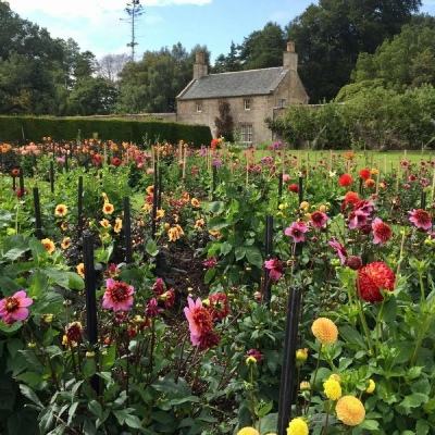 安博.体育下载手机版