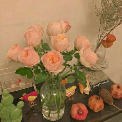 麻将胡了pg网页版APP下载