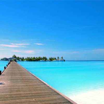 十大体育外围平台网址