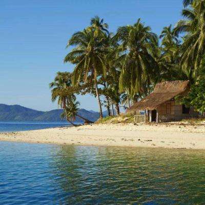 乐鱼app官网下载官方版