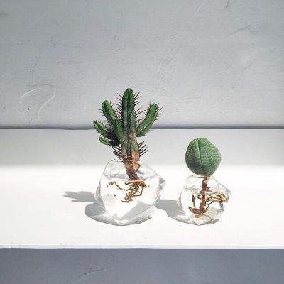 乐鱼app(中国体育)官方网站