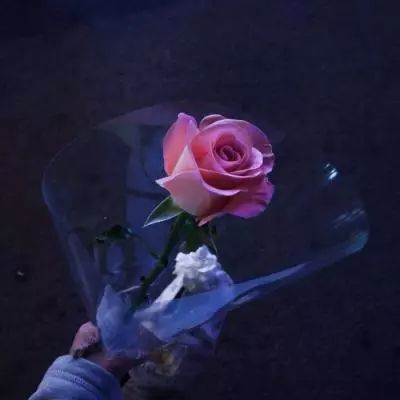 澳门·新甫京娱乐娱城